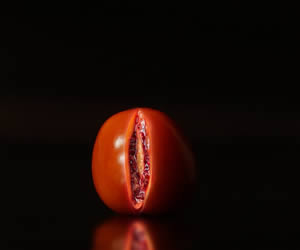 Red Tomato sliced open representing Persistent Genital Arousal Disorder