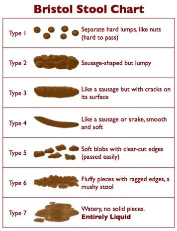 Curious What Your Bowel Movements Say About Your Health? | Femina PT