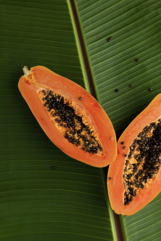How Pelvic Floor Therapy Supports Vaginal Microbiome Health