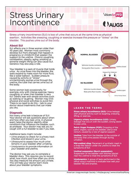 Incontinence Diagnoses, Femina Physical Therapy