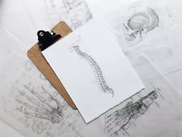 Scoliosis and Pelvic Floor Health | Image Courtesy of Joyce McCown of Moon Shadow Press via Unsplash 