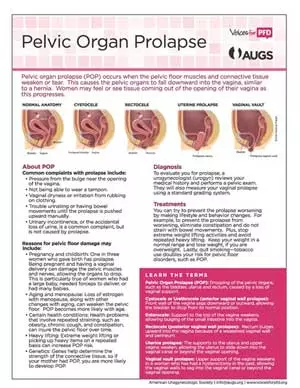 Urogenital and Pelvic Organ Prolapse