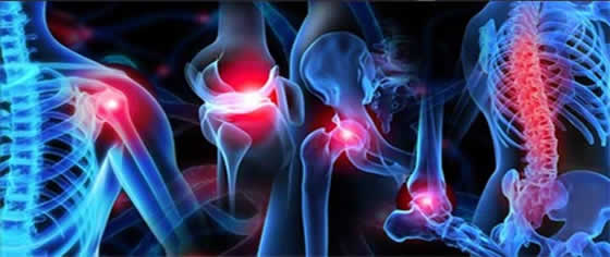 orthopedic services
