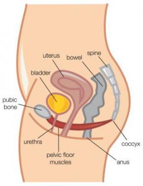 What are Kegels?