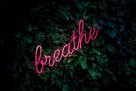 New Year’s Resolutions For Your Pelvic Floor | Breathe!