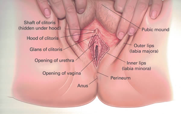 New Year’s Resolutions For Your Pelvic Floor | Do You Know Your Parts?