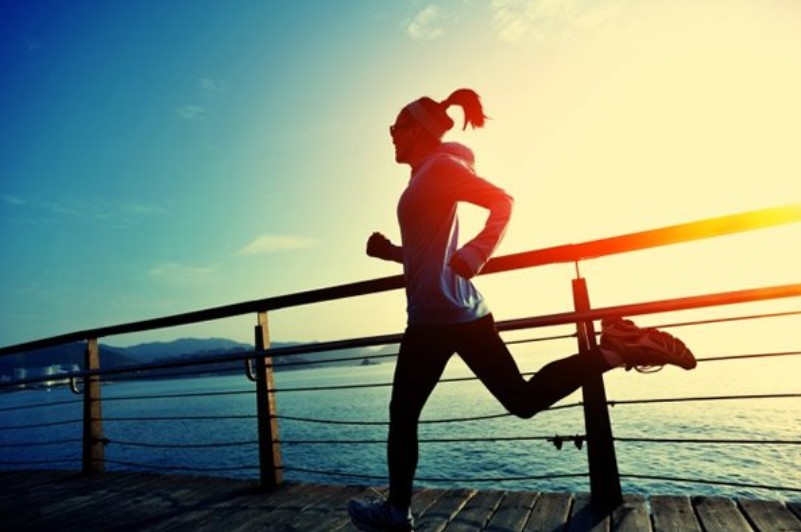 Female Athlete Triad – The Distance Runner’s Hidden Obstacle