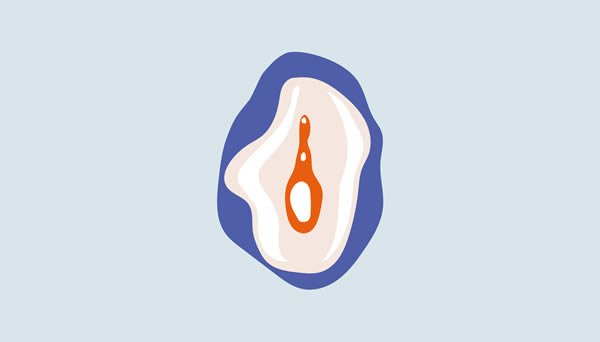 Modern Fertility | Vulvovaginal anatomy 101 | Understanding your vulva and vagina in a new way