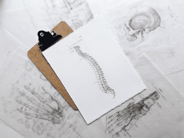 Scoliosis and Pelvic Floor Health: Part 2 Scoliosis Awareness Month