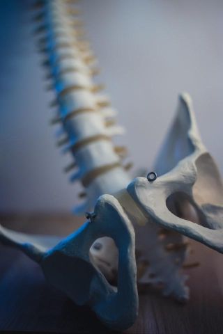The Effects of Pelvic Floor Muscle Strength on Orgasm