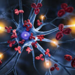 Chronic Pain, Recovery, and Immunity: PT Strategies to Rebalance Your Body